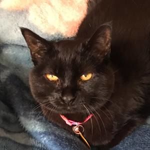 Meet your Posher, Margaret